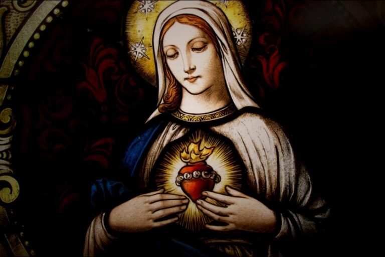 Destaques_IMACULADO-990×557