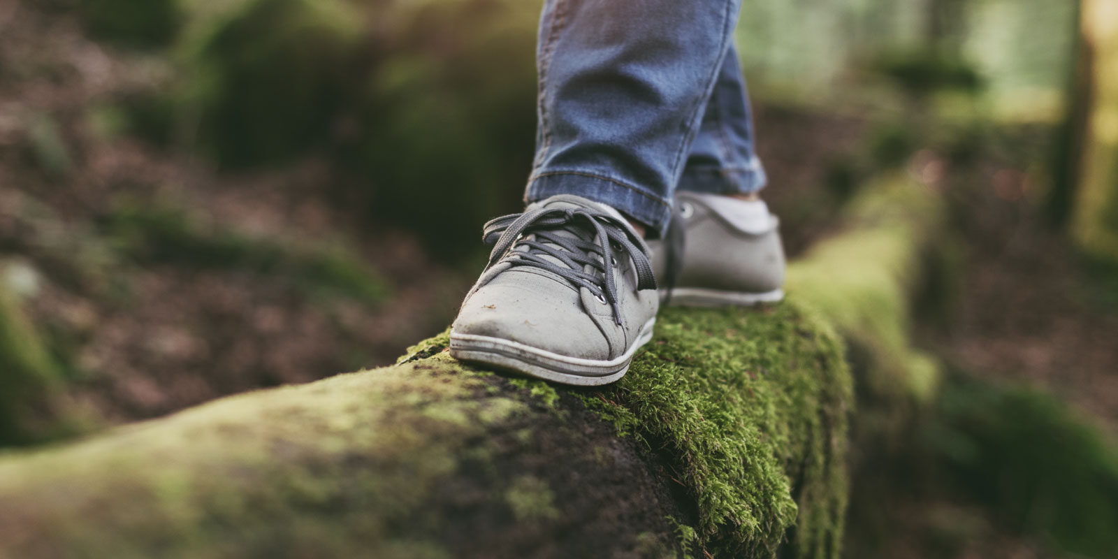 formacao_1600x1200temperanca-uma-arma-contra-nossos-impulsos