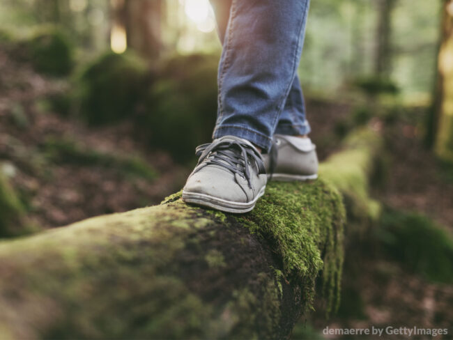 formacao_1600x1200temperanca-uma-arma-contra-nossos-impulsos