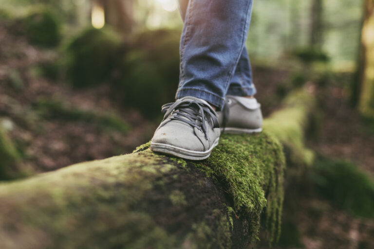 formacao_1600x1200temperanca-uma-arma-contra-nossos-impulsos